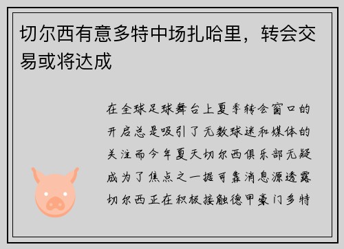 切尔西有意多特中场扎哈里，转会交易或将达成